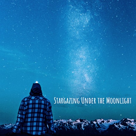 Stargazing Under the Moonlight | Boomplay Music