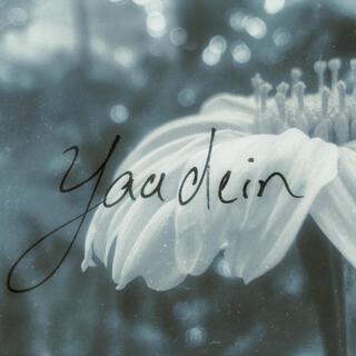 Yaadein ft. Luckyonstrings lyrics | Boomplay Music