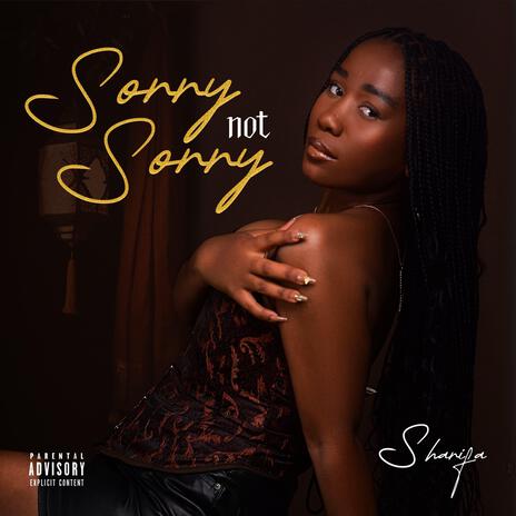 Sorry Not Sorry | Boomplay Music