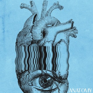 anatomy lyrics | Boomplay Music