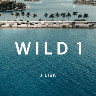 WILD 1 lyrics | Boomplay Music