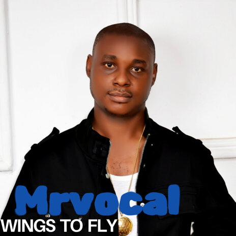 Wings to Fly | Boomplay Music