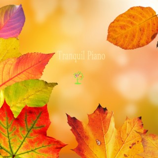 Tranquil Piano