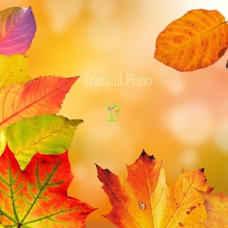 Gentle Calm Piano | Boomplay Music