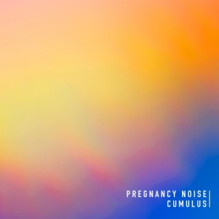 Pregnancy Noise