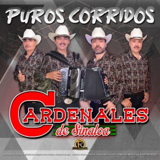 Puros Corridos Ineditos