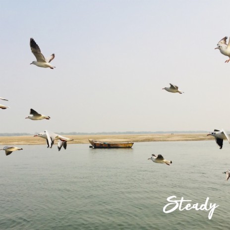 Steady | Boomplay Music