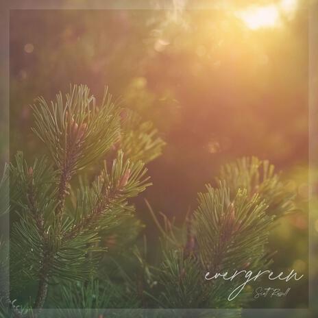 Evergreen | Boomplay Music