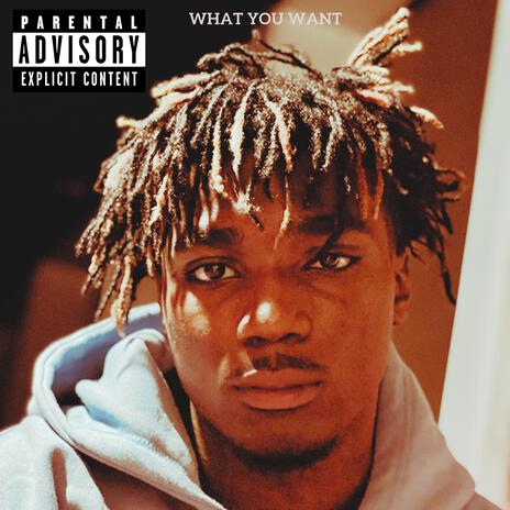 What You Want | Boomplay Music