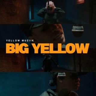 Big Yellow lyrics | Boomplay Music