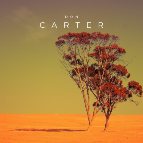 Flower in the desert (Romantic Version) | Boomplay Music