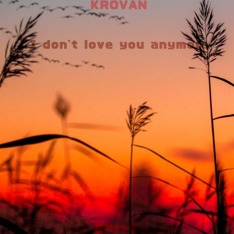 I Don't Love You Anymore ft. Krovan