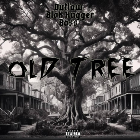 Old Tree | Boomplay Music