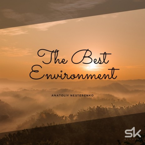 The Best Environment (Original Mix) | Boomplay Music