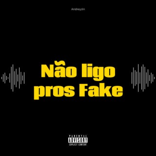 Não ligo pros Fake