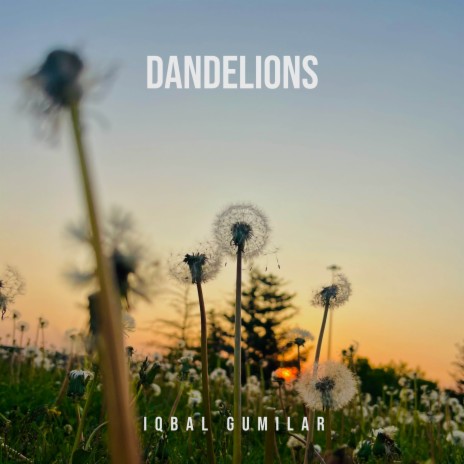 Dandelions (Acoustic Guitar) | Boomplay Music