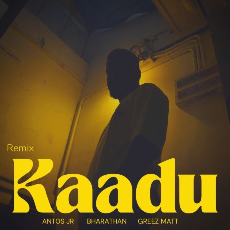 Kaadu (Remix) | Boomplay Music