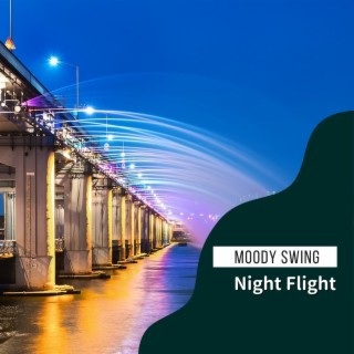 Night Flight