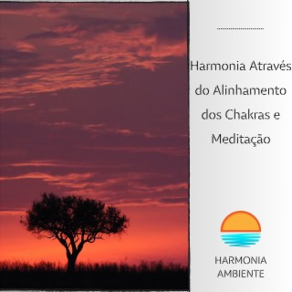 Harmonia Através do Alinhamento dos Chakras e Meditação