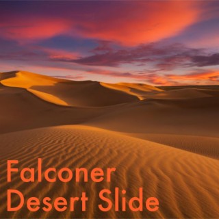 Desert Slide
