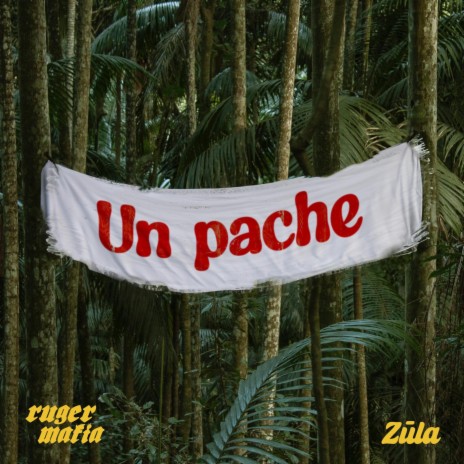 Un Pache ft. Zūla | Boomplay Music