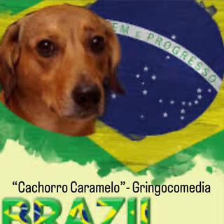 Cachorro Caramelo (GringoComedia)