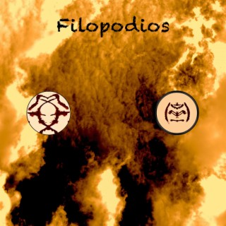 Filopodios