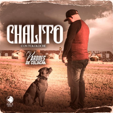 Chalito Con Tololoche | Boomplay Music