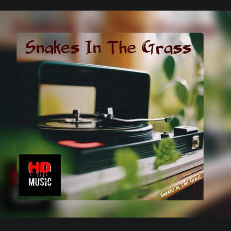 Snakes In The Grass | Boomplay Music