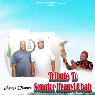 Tribute To Senator Ifeanyi Ubah