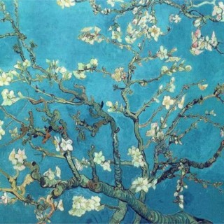 Almond Blossom