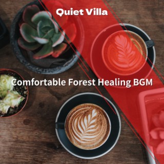 Comfortable Forest Healing BGM