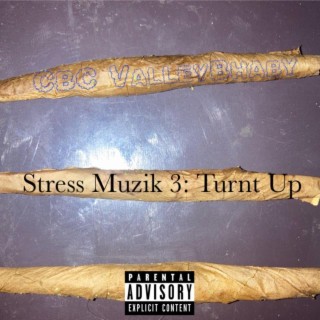 Stress Muzik 3: Turnt Up