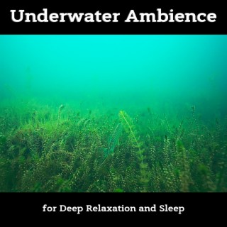 Underwater Ambience for Deep Relaxation and Sleep