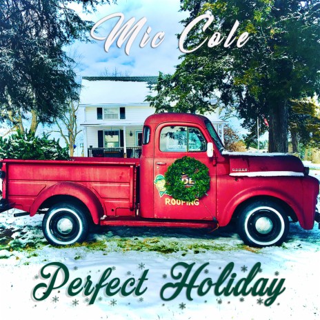 Perfect Holiday | Boomplay Music
