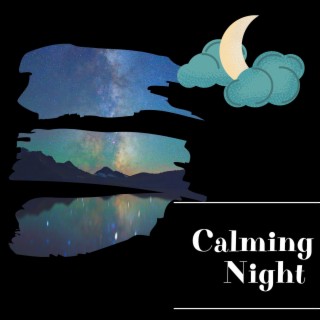 Calming Night Ambience for Ultimate Chill