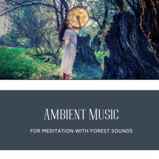 Ambient Music For Meditation with Forest Sounds