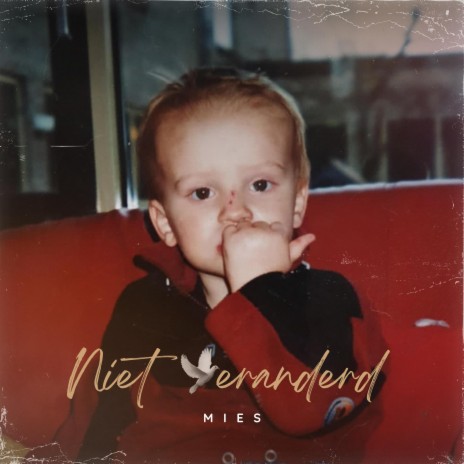 Niet veranderd | Boomplay Music