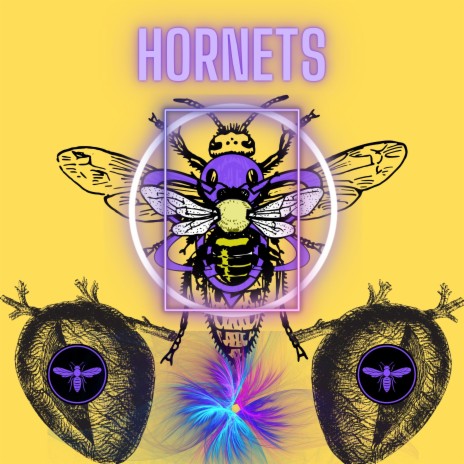 Hornets | Boomplay Music
