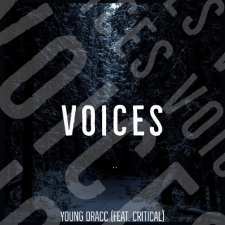 VOICES