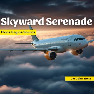 Skyward Serenade: Plane Engine Sounds