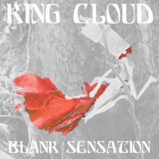 Blank Sensation