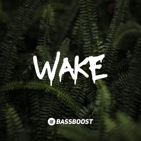 Wake ft. Vital EDM | Boomplay Music