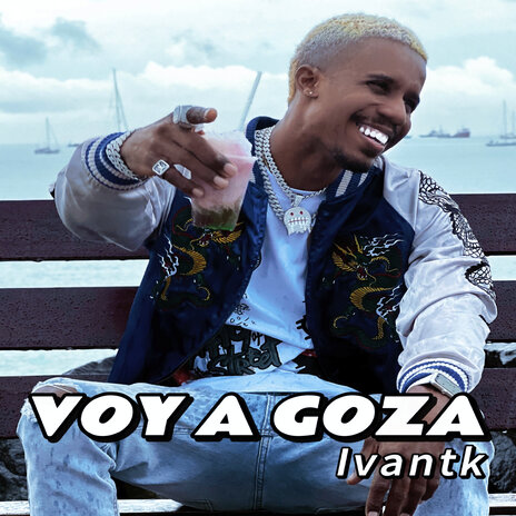 VOY A GOZA | Boomplay Music