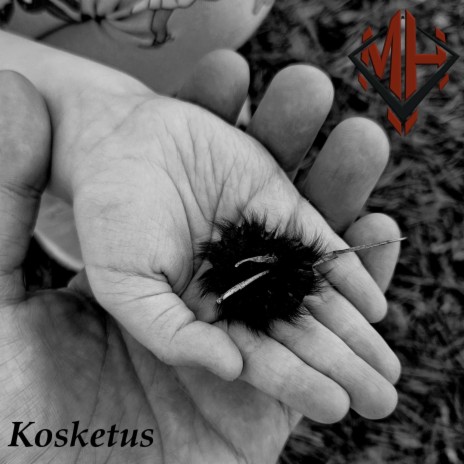 Kosketus (SOS Edition) | Boomplay Music