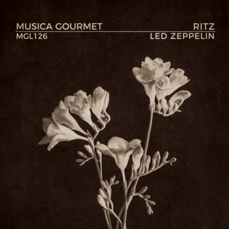 Led Zeppelin (Original Mix) | Boomplay Music