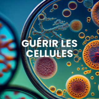 Guérir les cellules: Vibrations positives, Battements binauraux