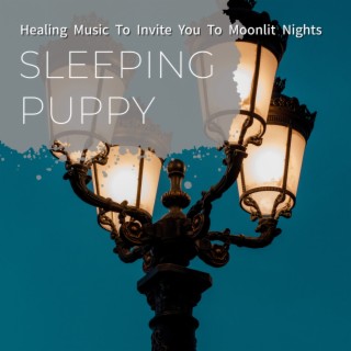 Healing Music to Invite You to Moonlit Nights