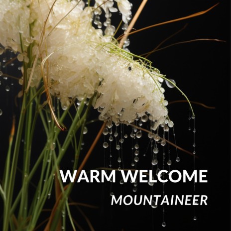 Warm Welcome | Boomplay Music