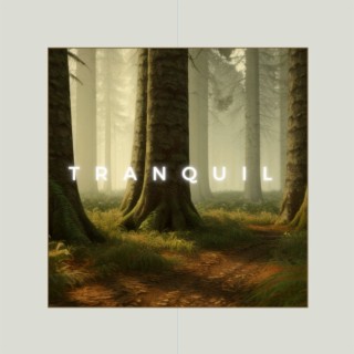 Tranquil